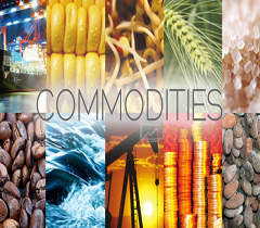 MCX – Multi Commodity Exchange of India Ltd.